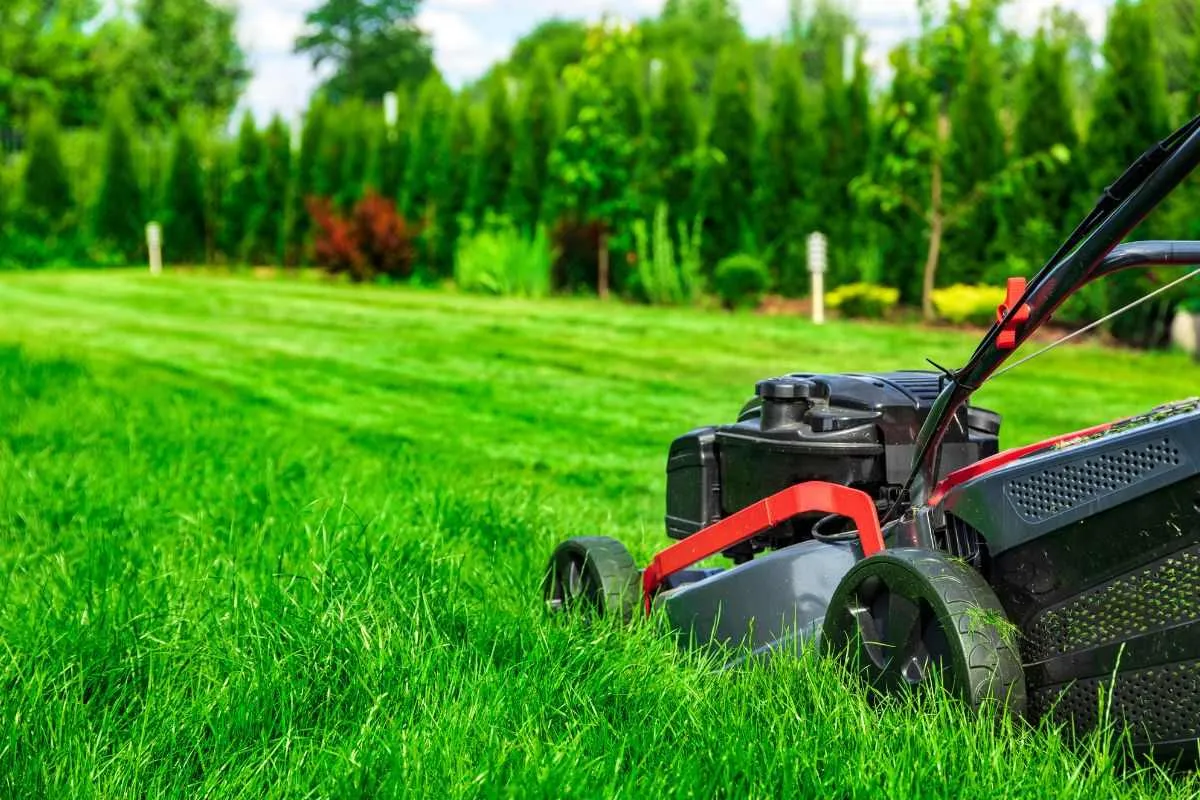 De lente-boost voor je gazon: waarom en hoe?