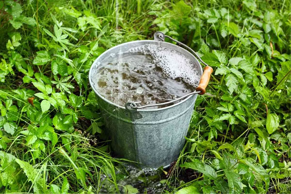 Waarom regenwater opvangen onze toekomst verandert